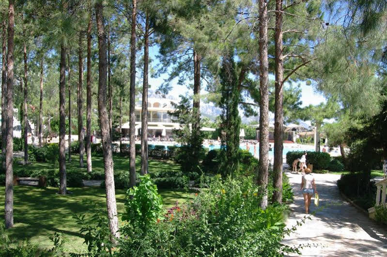 Club Zigana Hotel Beldibi  Exterior foto